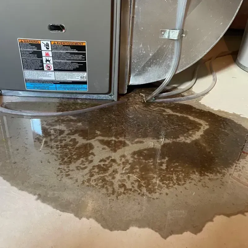 Appliance Leak Cleanup in North Olmsted, OH